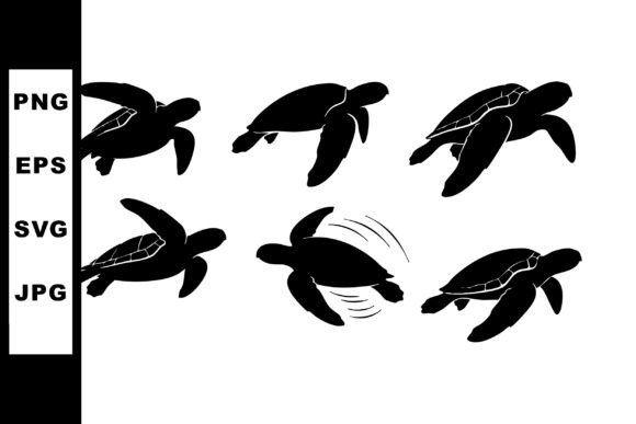 Sea Turtles Graphics & Illustrations Review