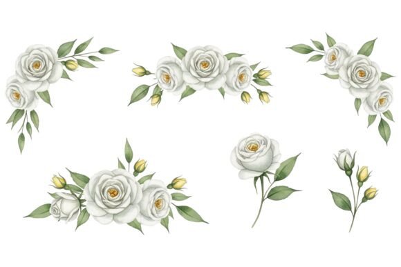 White Rose Watercolor Graphics & Illustrations